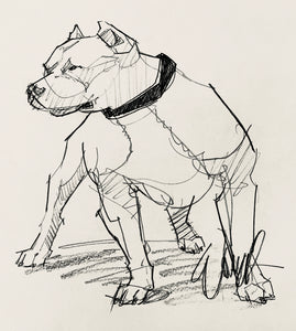 Custom Pet Portrait Painting or Sketch